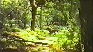 Крах теории еволюции Факт создание жизни Богом 1