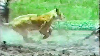 Крах теории еволюции Факт создание жизни Богом 2