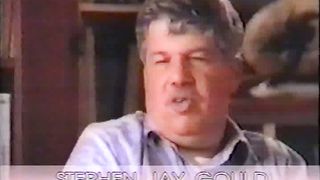 Крах теории еволюции Факт создание жизни Богом 2