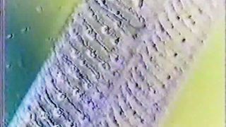 Крах теорії еволюції - Проісхожденіє землі 4