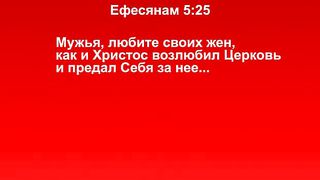 Алан Майер - 1 Адам где ты