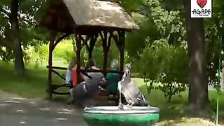 Миссия Агапэ - Три судьбы