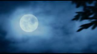 Твоє Життя Выпуск 145