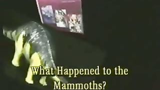 Кент Ховинд - Эдемский сад