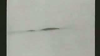 Кент Ховинд - Динозавры и Библия 2