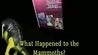 Кент Ховинд - Вопросы и ответы 1