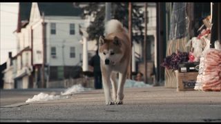 Хатико: Самый верный друг (2008)