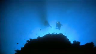 Океан Док. Фильм о природе