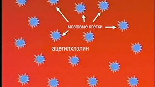 Алан Майер - 7 Воспитание мозга