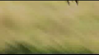 BBC: Ребятам о зверятах - Гепард