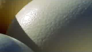 BBC: Ребятам о зверятах - Страусы