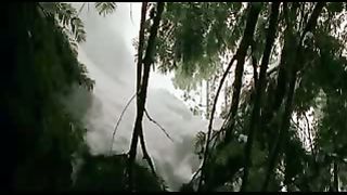 BBC: Ребятам о зверятах - Северный Олень