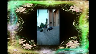 Я был странником