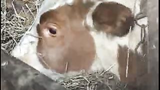 Ощути силу перемен - Бояриновы