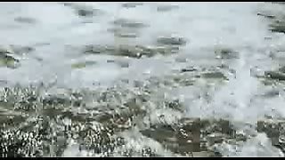 BBC: Ребятам о зверятах - Медведи Гризли