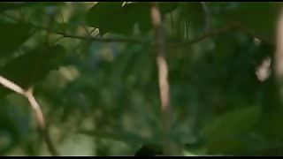 BBC: Ребятам о зверятах - Жирафы