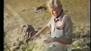 Ноев ковчег найден