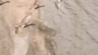 Грыцак Лидия - Океан Божьей любви