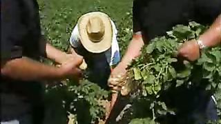 Свидетельство ГЕННАДИЯ ДОЛБИНА – Деньги не принесли счастья