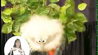 Баллада о трех сыновьях Видео для глухих