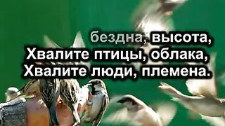 Хвалите Господа с небес (Видео для глухих)