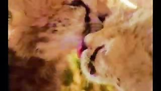 Три Ангела - Мастерская добрых дел - 2 Сотворение мира