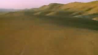 Альфа и Омега 1