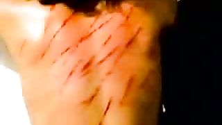 Альфа и Омега 1