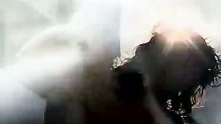 Альфа и Омега 1