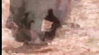 Мы идём дорогой в город Иерусалим