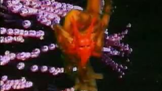 Трубный Зов - Мир Погряз В Греховной Тьме