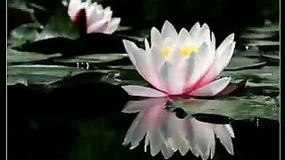 Дарина Кочанжи - Научи меня Боже мудрости 3