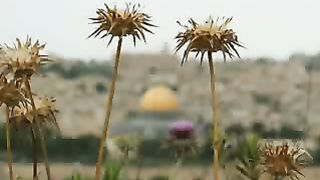 Еврейская песня