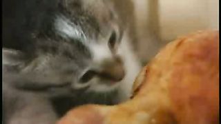 Марат Мартыканов - Человеку не надо много