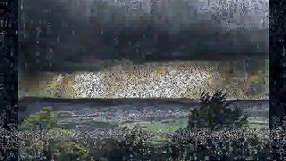 Виктор Лобода - Гроза