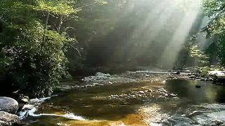 Виктор Лобода - Гроза