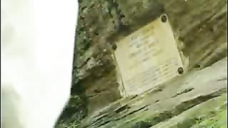 История реформации - Вальденсы 1