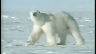 Крах теории эволюции 2/1