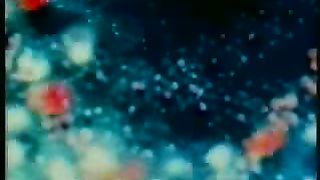 Крах теории эволюции 2/1