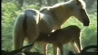 Крах теории эволюции 2/1