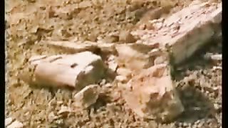 Крах теории эволюции 2/2