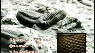 Крах теории эволюции 2/2