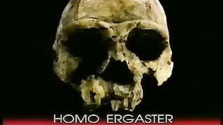 Крах теории эволюции 2/2