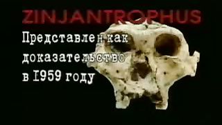 Крах теории эволюции 2/3