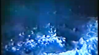 Крах теории эволюции 2/3