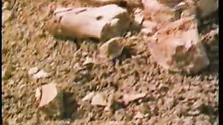 Крах теории эволюции 1