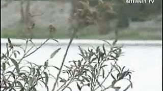 Ощути силу перемен - Теперь я свободен