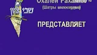 Смоковница распускается