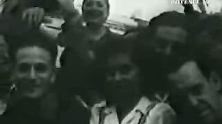 Смоковница распускается