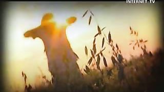 Ощути силу перемен - Авторитет для сироты